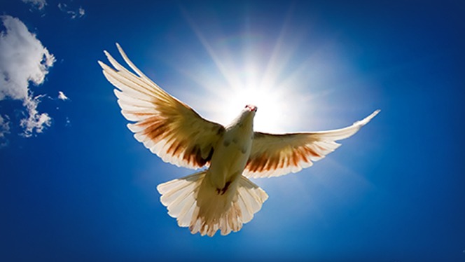 The Holy Spirit Pushes You Forward