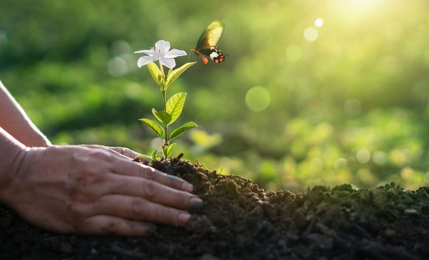 What Are You Growing?