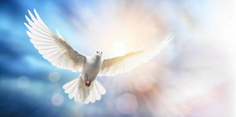 Jesus Never Promised Easy, He Promised His Spirit