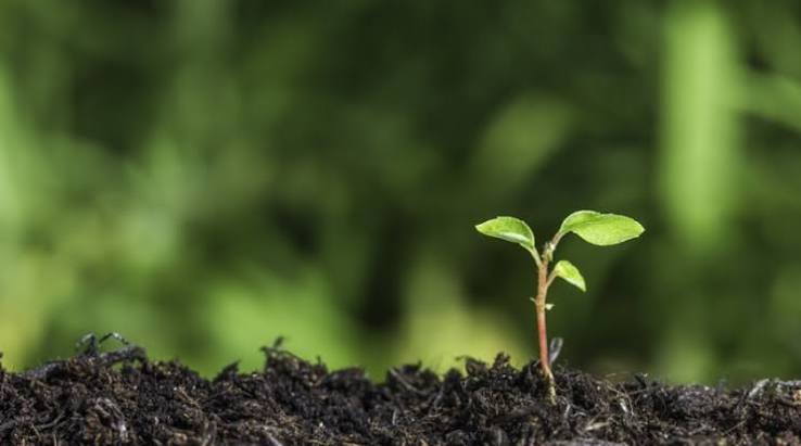 God Begins Small
