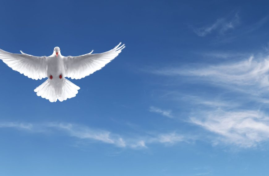 Peace Is the Presence of Christ