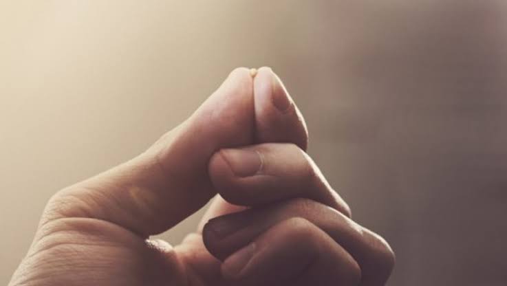 Faith The Size of a Mustard Seed