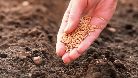 What Kind of Soil Am I Becoming?