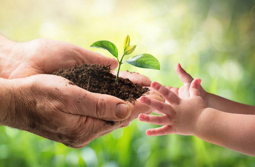 Caring For What’s Entrusted To Us